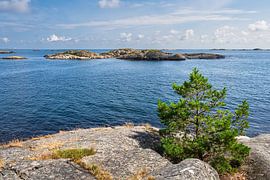 Landschaft im Naherholungsgebiet Hasseltangen in Norwegen von Rico Ködder