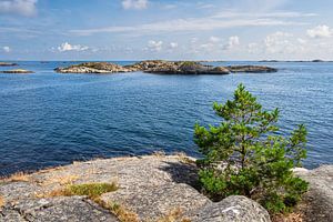 Landschaft im Naherholungsgebiet Hasseltangen in Norwegen