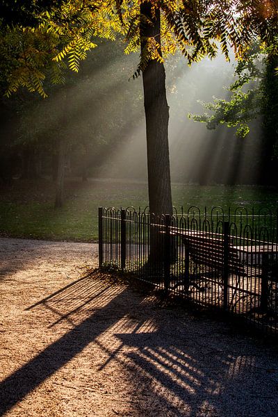 Sonnenstrahlen im Park von Langs Leidse Straten