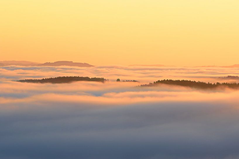 Above the valley of fog by Bernhard Kaiser