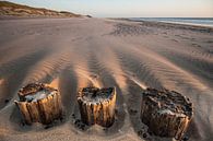 Strand Burgh Haamstede van Arjan Keers thumbnail