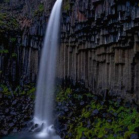 Svartifoss waterfall, Iceland sur Pep Dekker