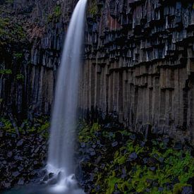 Svartifoss waterval, IJsland van Pep Dekker