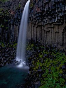 Svartifoss waterfall, Iceland von Pep Dekker