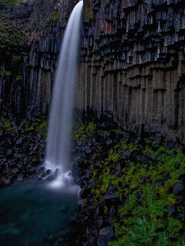 Svartifoss waterfall, Iceland by Pep Dekker