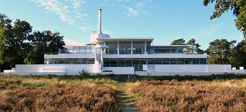 Zonnestraal op een herfstige heide