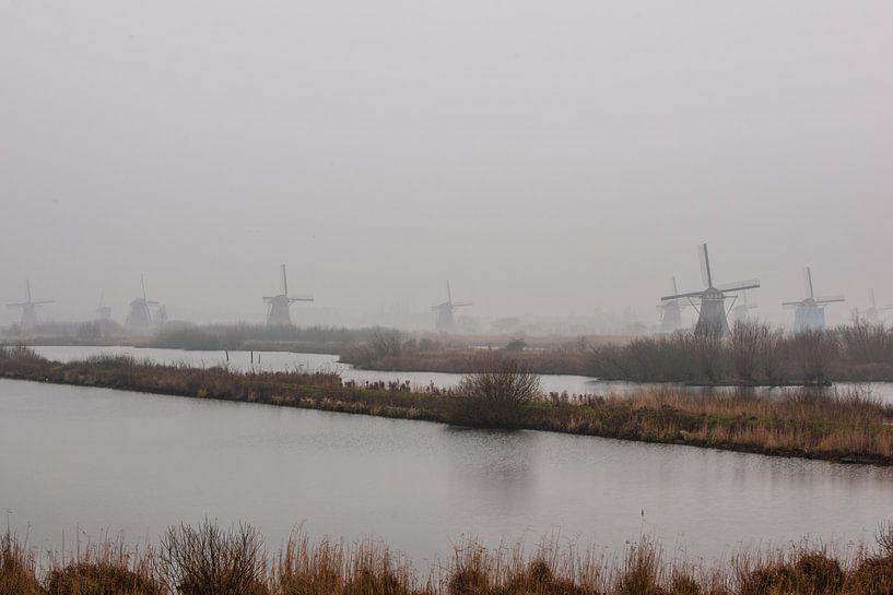 Kinderdijk Windmolens in de mist van Brian Morgan