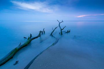 Blue hour on the west beach by Martin Wasilewski