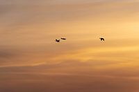 Aerial painting of nature