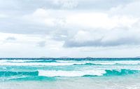 The Southern Ocean near Esperancem Western Australia by Hilke Maunder thumbnail