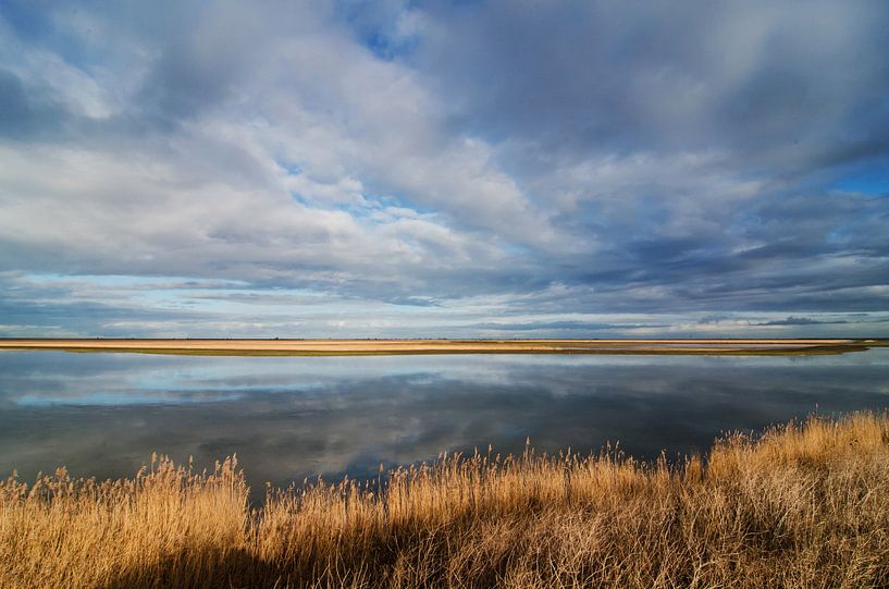 Oostvaardersplassen von René Vos