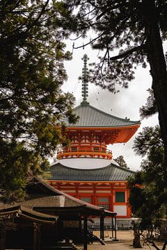 Rode Japanse tempel. van Erik de Witte