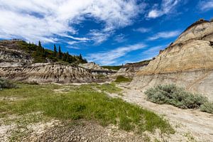 Der Horseshoe Canyon in Kanada