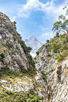 Montagne au loin, Picos de Europa