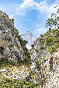 Berg in de verte, Picos de Europa