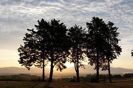 The hills covered with vineyards of Chianti. Tucany, Italy. by Tjeerd Kruse