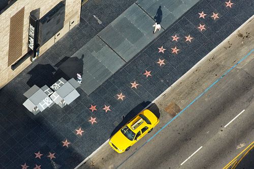 Holywood Walk of Fame