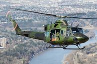 Le CH-146 Griffon de l'Aviation royale du Canada par Dirk Jan de Ridder - Ridder Aero Media Aperçu