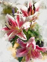 Rosa Lilien