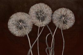 Art mixte : trois peluches de pissenlit sur Studio Pieternel