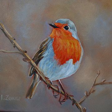 Robin by Ineke Zeeuw