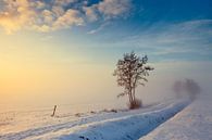 Winterlandschap Nederland van Peter Bolman thumbnail