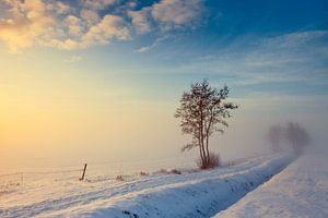 Winterlandschap Nederland van Peter Bolman