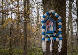 Olen sur Pieter van der Zweep