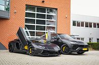 Blacked Out Lamborghini Aventador & Urus by Joost Prins Photograhy thumbnail