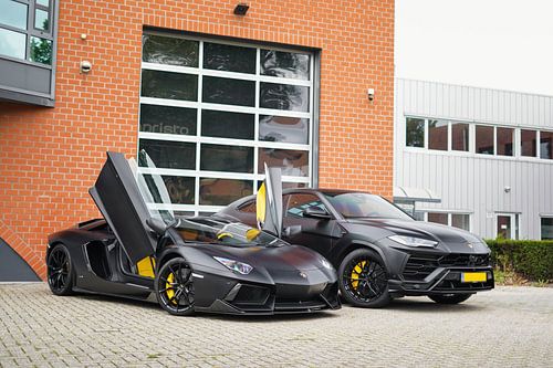 Blacked Out Lamborghini Aventador & Urus