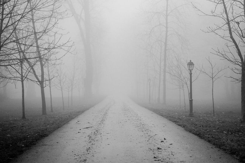 Nebel von Andrea Fuchs