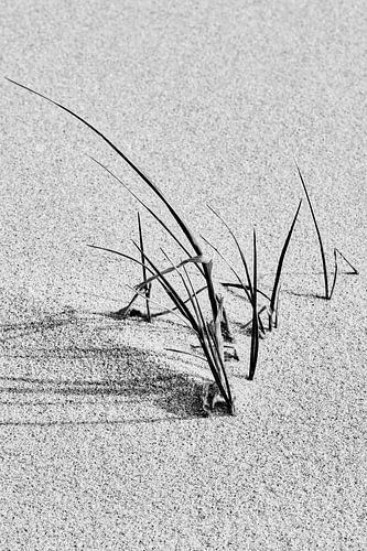 Minimalism in black and white by eric van der eijk