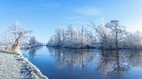 Winter Nienoordsche polder  Leek; de waterkant met rijp van R Smallenbroek thumbnail