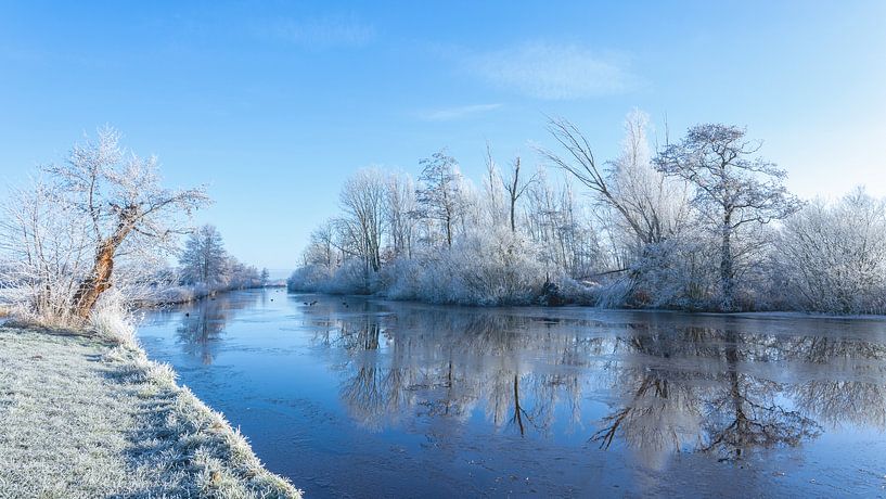 Winter Nienoordsche polder  Leek; de waterkant met rijp van R Smallenbroek