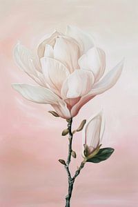 Zarter Magnolienzauber