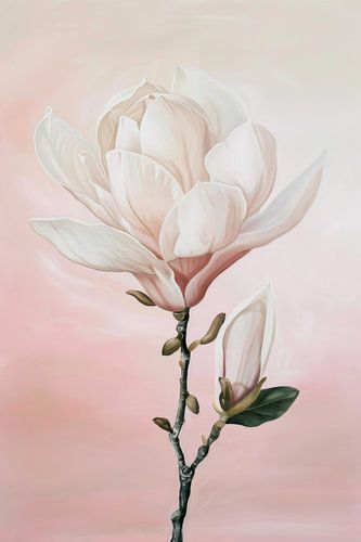Delicate magnolia magie