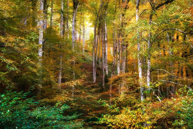 The Opening par Lars van de Goor