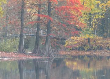 Automne dans la forêt de randonnée
