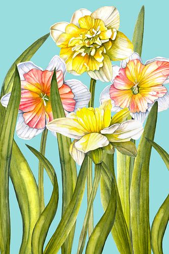 narcissen in het voorjaar