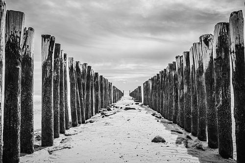 Strandpalen Zoutelande