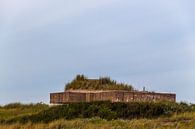 Atlantic Wall van didier de borle thumbnail