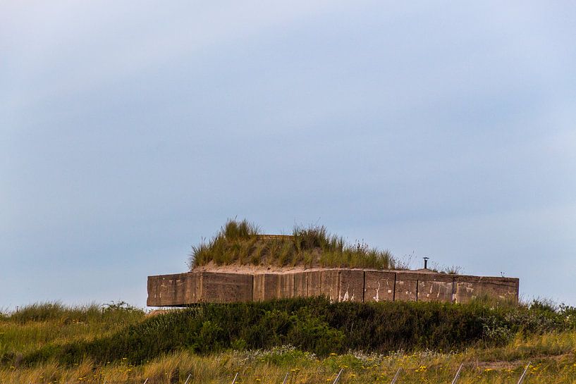 Atlantic Wall van didier de borle