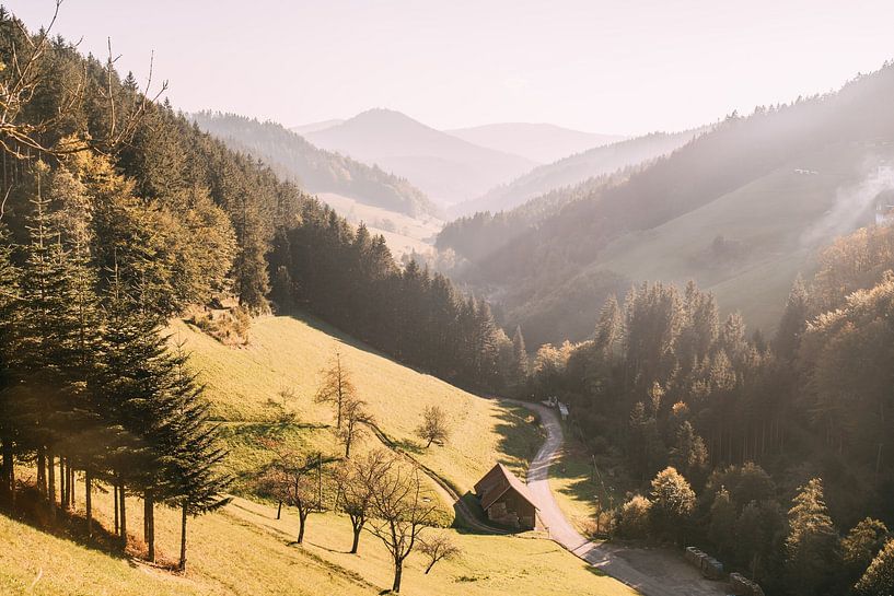 Sonniger Abend im Schwarzwald von Patrycja Polechonska