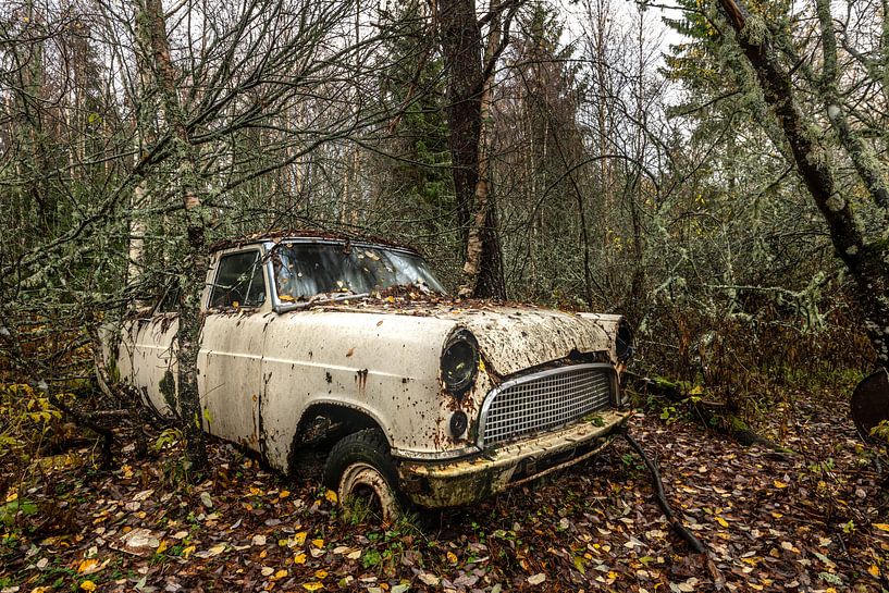 The beauty of transience by Gerry van Roosmalen