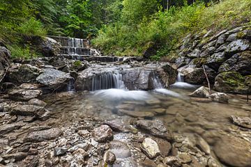 Wasserfall im Wald von Christina Bauer Photos