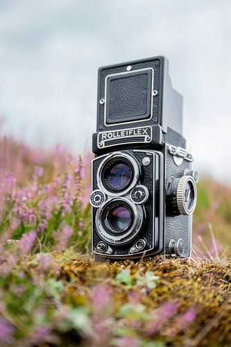 Rolleiflex in het wild