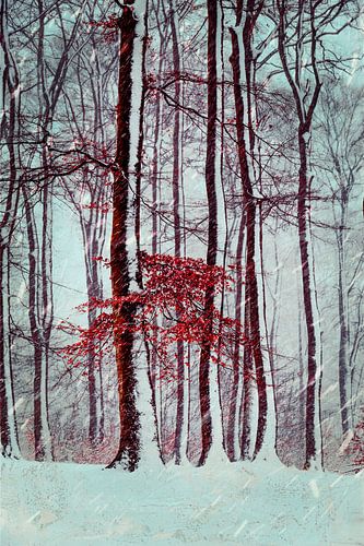Winter forest with red foliage