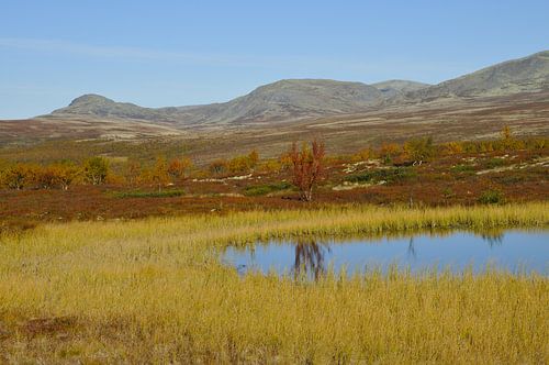 Rondane Nationaal Park