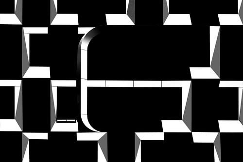 Zwartwit Abstract (Black and White Abstract)