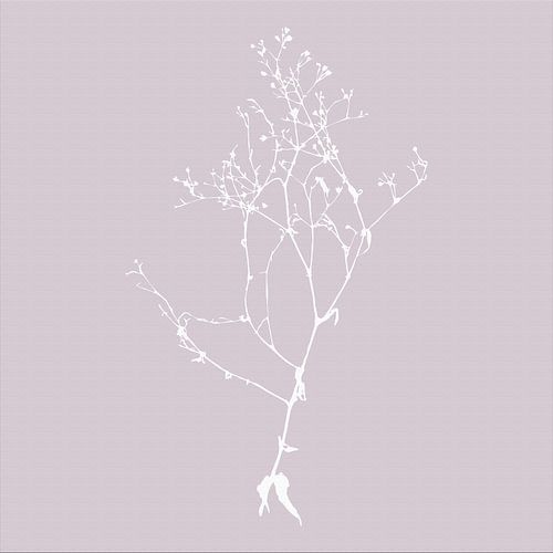 Botanica Delicata. Abstracte Retro Botanical in Zilver Mauve zacht roze